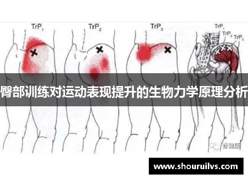 臀部训练对运动表现提升的生物力学原理分析